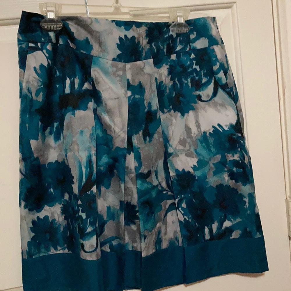 Ann Taylor skirt